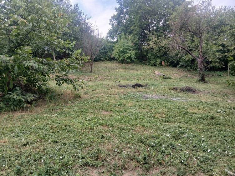 Casă cu 3 camere în Central