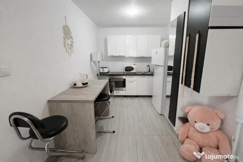 Garsonieră decomandată, mobilată în Complex Studențesc
