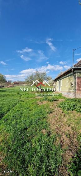 Casă cu 2 camere cu Teren 951 Mp în Paleu