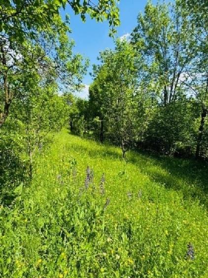 Teren intravilan de 4384 mp, în Talea
