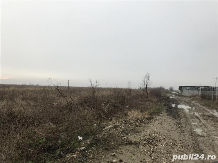 Teren de 10000 mp, în Butimanu