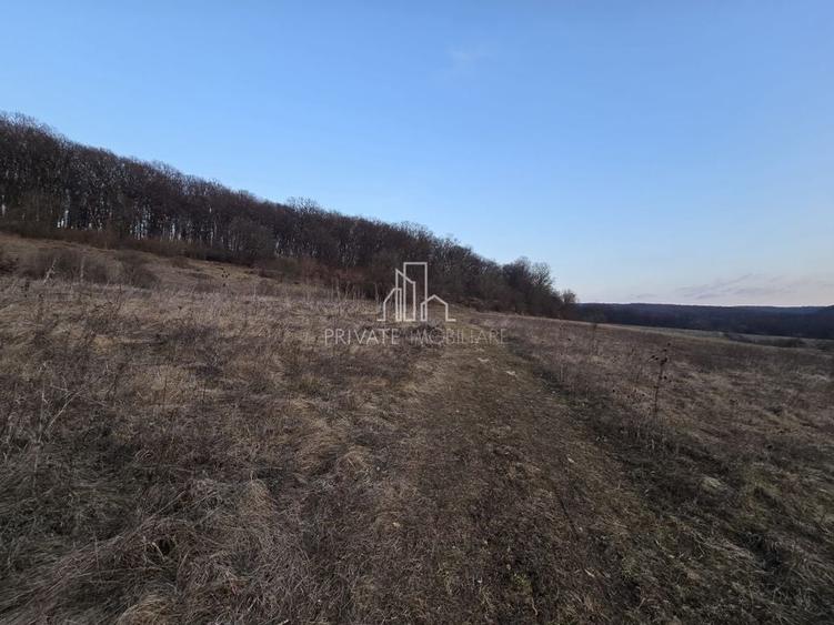 Teren agricol extravilan de 28800 mp, în Sud