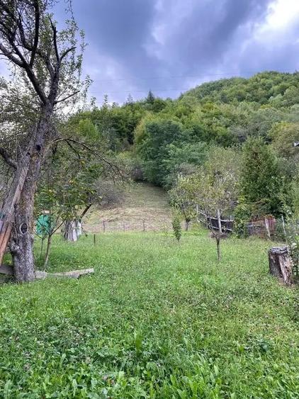Teren de 1238 mp, în Dodeni