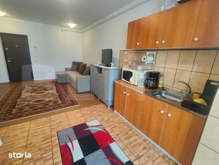 Apartament cu doua camere, mobilat, etaj 2, strada Florilor - 2