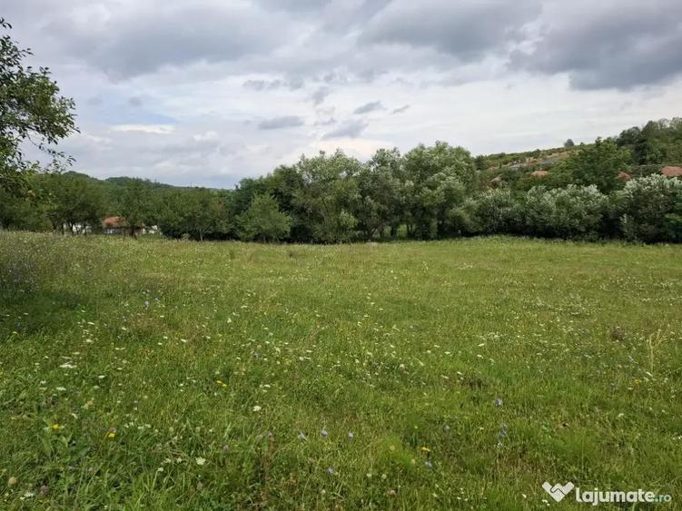 Teren intravilan pentru casa 1360 mp, la 10 minute de Zalau - 4
