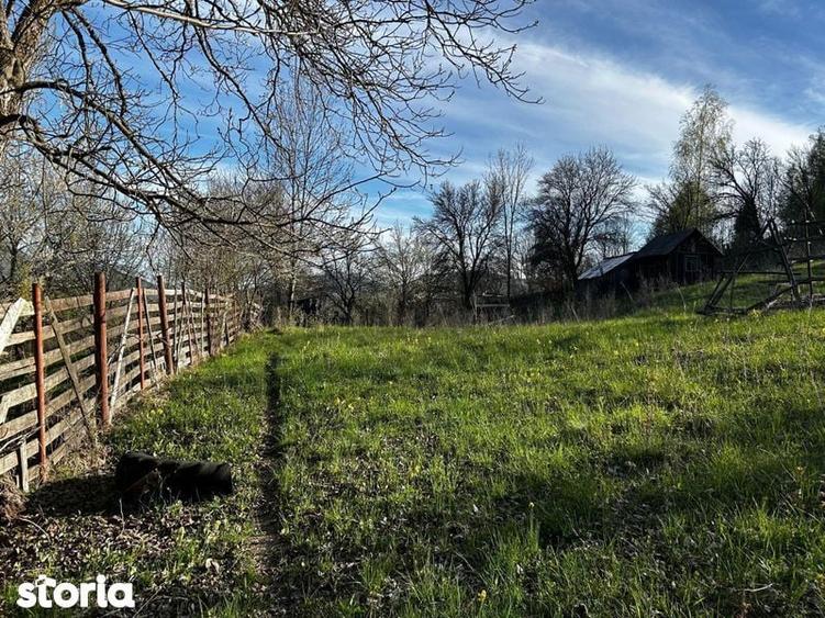 Teren de 2500 mp, în Valea Doftanei