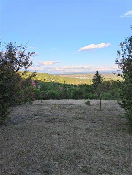 Teren Construcții intravilan de 1765 mp, în Podgoria