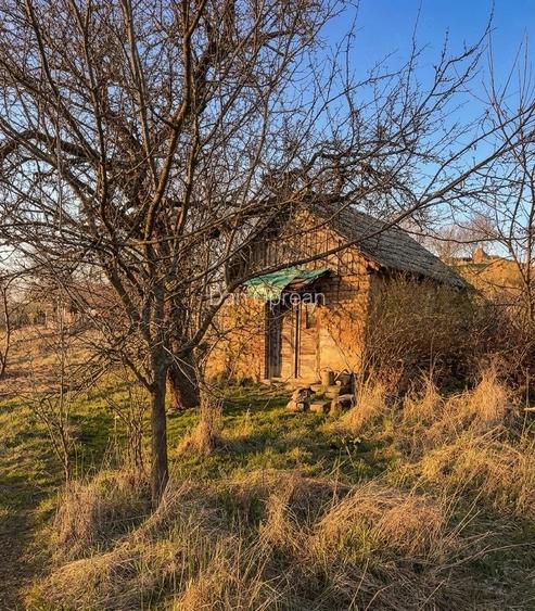 Teren intravilan 6707 mp | Cetariu -Oradea | 7 mp | Panoramic