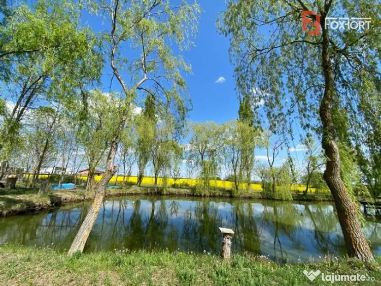 Casă cu 6 camere cu Teren 5880 Mp în Giarmata