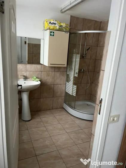 Spațiu comercial, de 460 mp, în Giubega