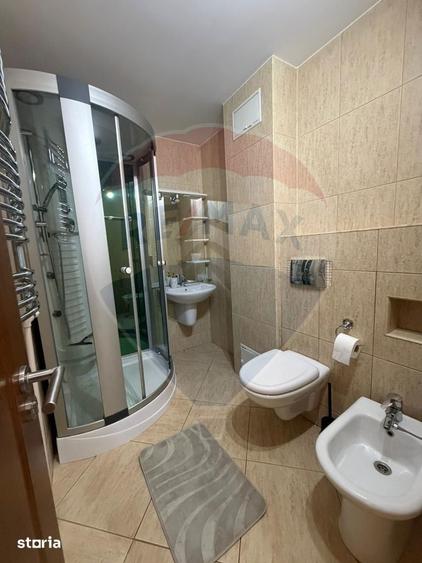 Apartament cu 3 camere decomandat, mobilat în Craiovița Nouă
