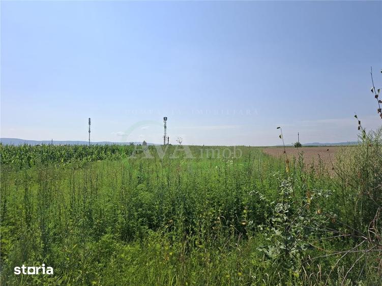 Teren de 1600 mp, în Nicolae Bălcescu