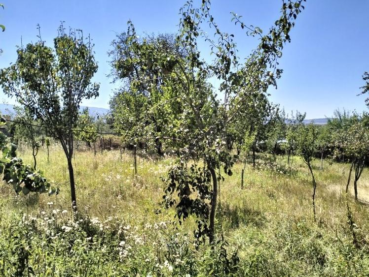 Casă cu 3 camere în Joia Mare