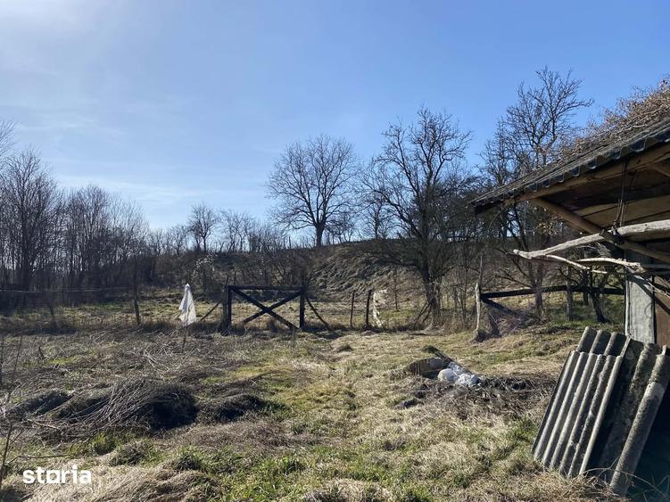Casă cu 1 camere cu Teren 4400 Mp în Păsăreni