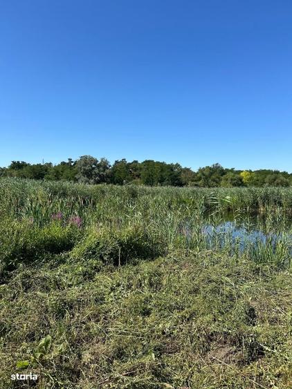 Teren cu deschidere la lac str Orhideelor-conectare imediata la curent - 1