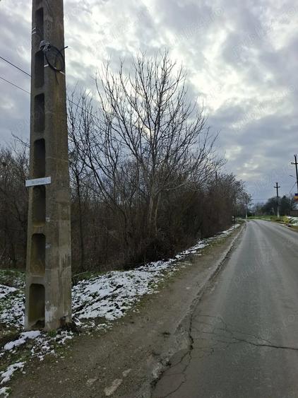 Teren de 1080 mp, în Mitreni