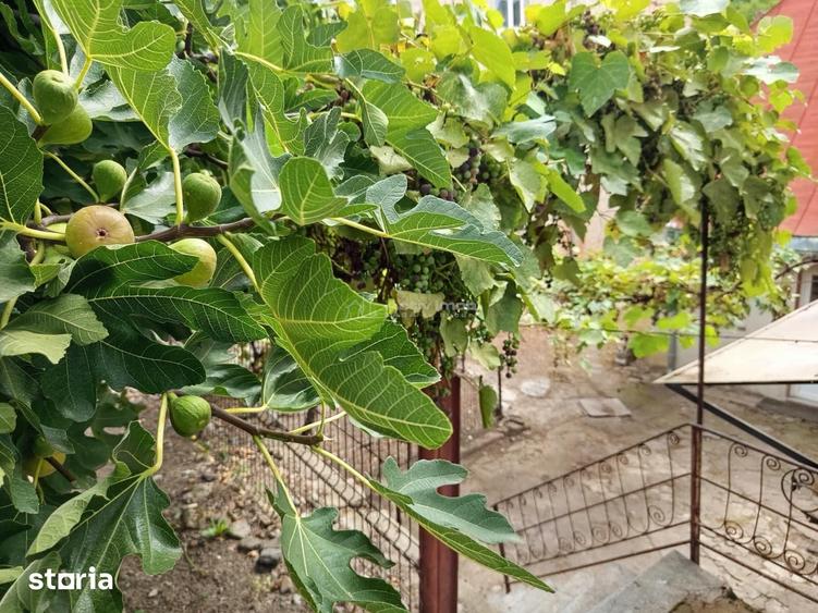 Casă cu 7 camere cu Teren 243 Mp în Central