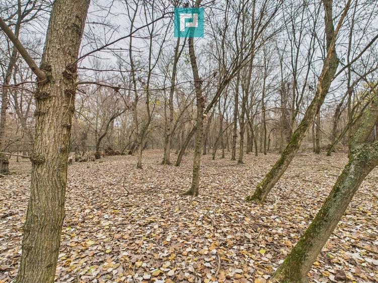 Teren extravilan de 5000 mp, în Periam
