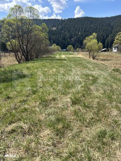 Teren intravilan, 2107 mp, str. Argestru, Vatra Dornei