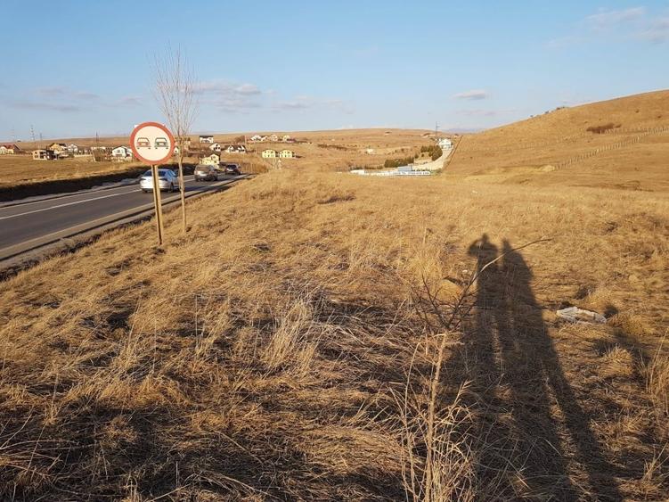 Teren Construcții intravilan de 33000 mp, în Calea Romanului