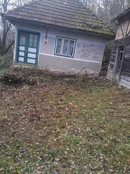 Casă cu 2 camere în Plai