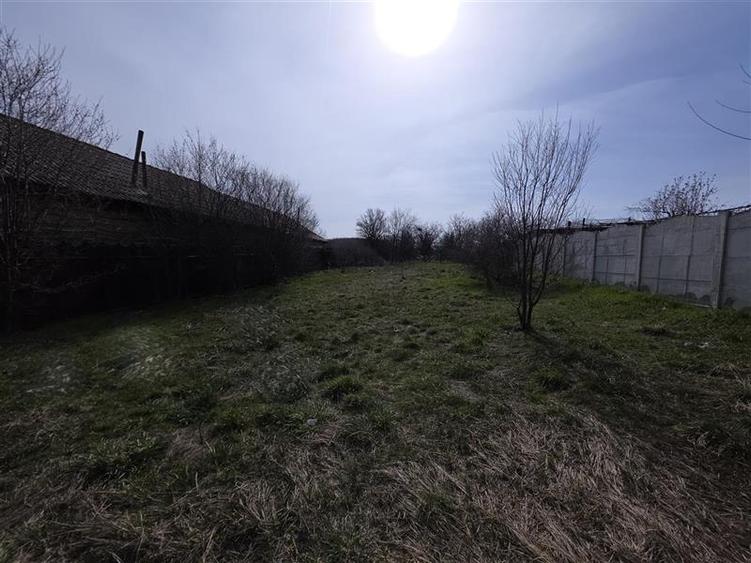 Teren Construcții intravilan de 1247 mp, în Breasta