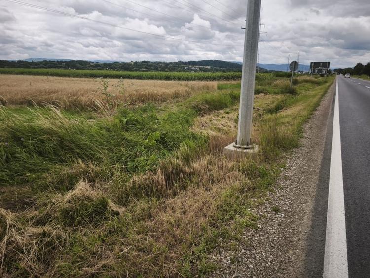 Teren Construcții extravilan de 6200 mp, în Gălănești