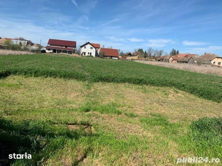 Casă cu 3 camere cu Teren 3500 Mp în Cenei