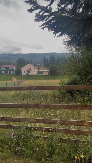 Teren de 2000 mp, în Neagra