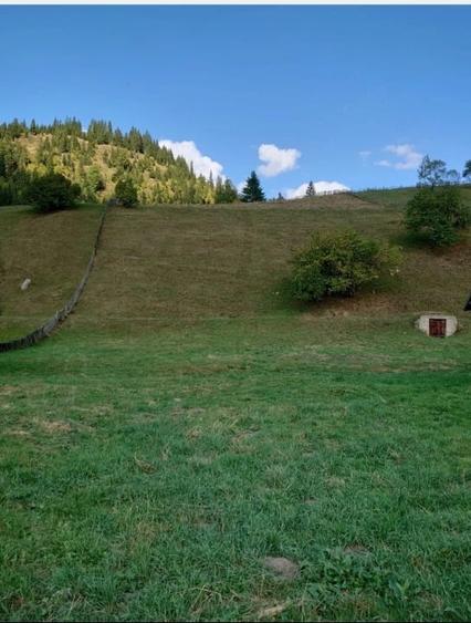 Teren Construcții intravilan de 1724 mp, în Ortoaia