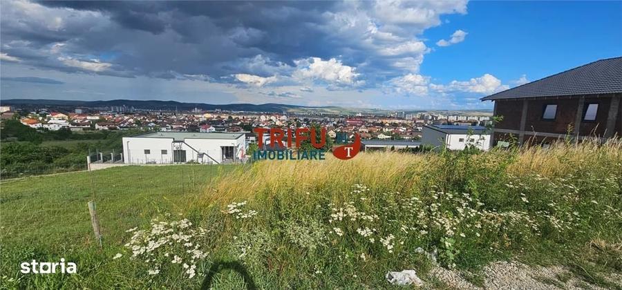 Spațiu comercial, în Cetate