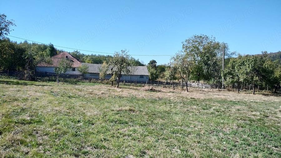 Teren de 9288 mp, în Bucova