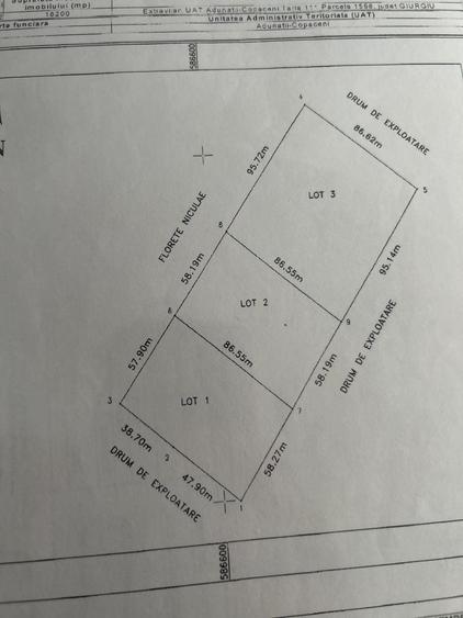 Teren de 5000 mp, în Varlaam