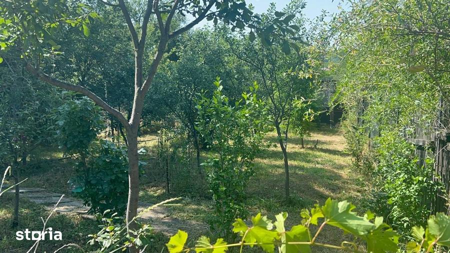 Casă cu 3 camere cu Teren 600 Mp în Crevedia Mare
