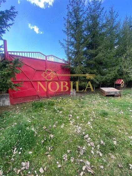 Casă cu 10 camere cu Teren 1332 Mp în Mănăstirea Cașin