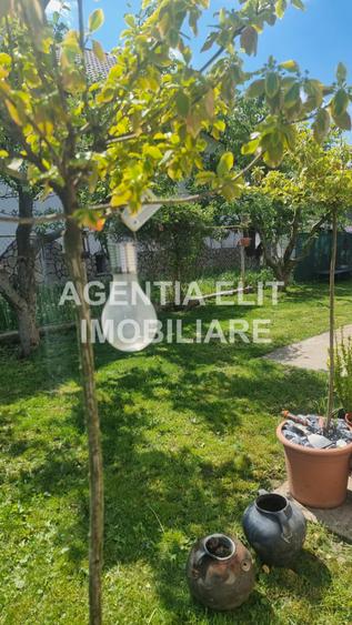 Casă individuală cu 7 camere cu Teren 500 Mp în Central