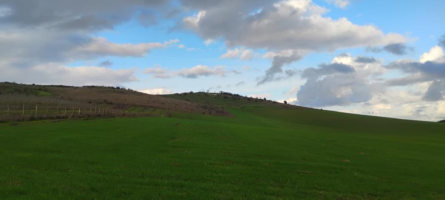 Teren agricol extravilan de 6000 mp, în Nufăru