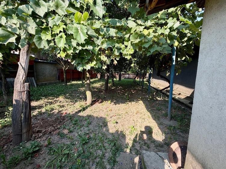 Casă cu Teren 1000 Mp în Filipești