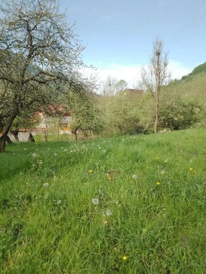 Spațiu comercial, în Vidra