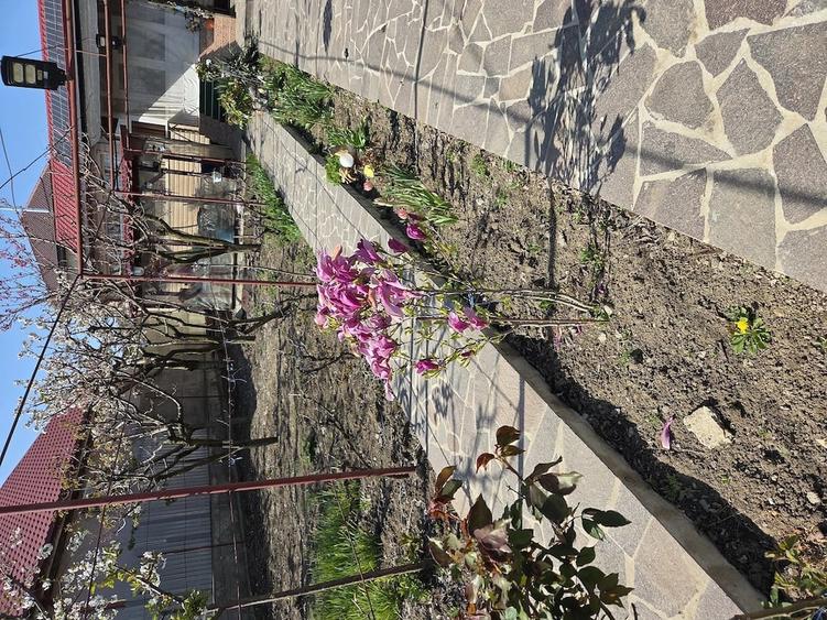 Casă cu 3 camere cu Teren 700 Mp în Șendreni