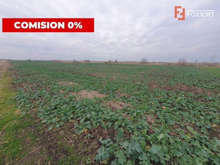 Teren agricol extravilan de 213257 mp, în Sud