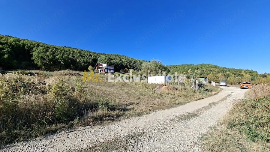 Teren de 2090 mp, în Golești (Ștefănești)