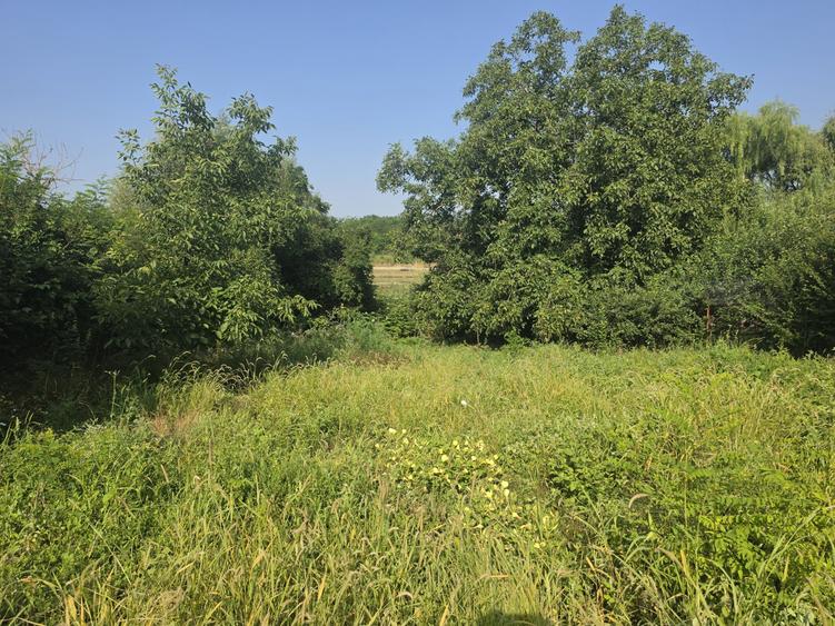 Casă individuală cu 2 camere cu Teren 1100 Mp în Găneasa