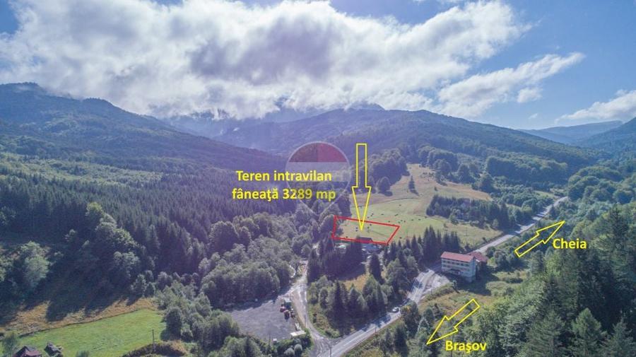 Teren de 3289 mp, în Babarunca