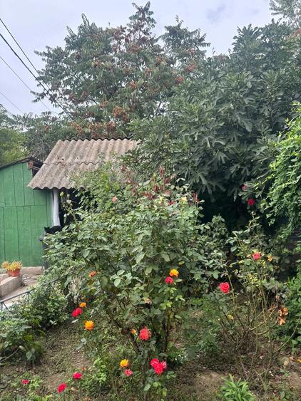 Casă cu Teren 1426 Mp în Mineri