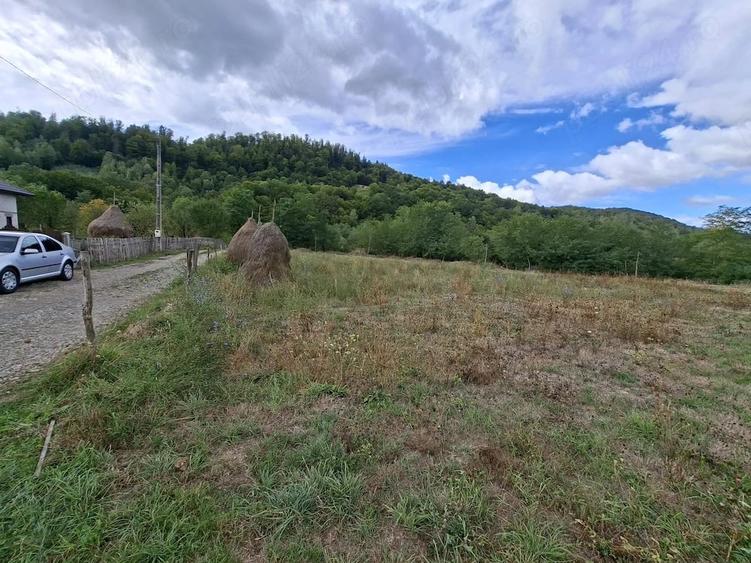 Teren de 830 mp, în Central