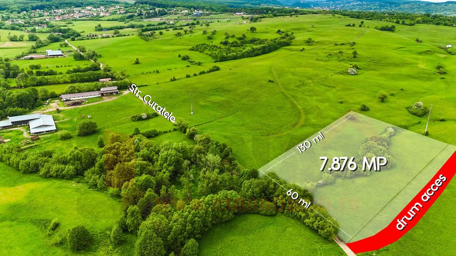 Teren extravilan de 7256 mp, în Sadu