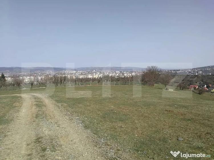Teren de 15904 mp, în Dâmbu Pietros