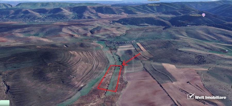 Teren agricol extravilan de 21500 mp, în Valea Agrișului