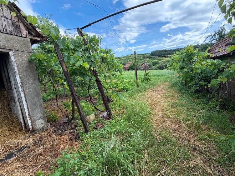 Casă cu Teren 1800 Mp în Central